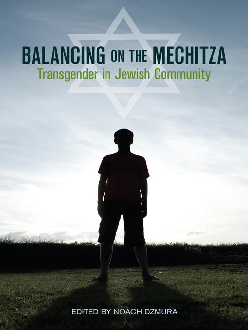 Title details for Balancing on the Mechitza by Noach Dzmura - Wait list